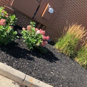 Meet your Posher, Jody